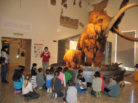 Classi quarte: percorso sullo studio degli animali